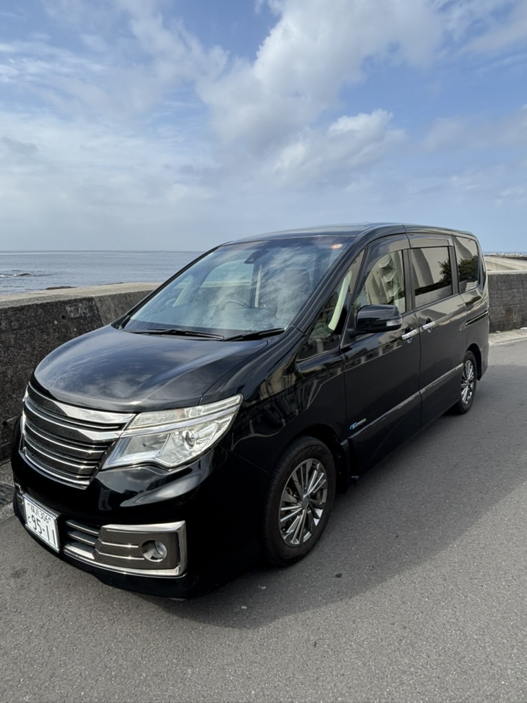 2016 Nissan Serena S-Hybrid Pure Drive Autech Rider